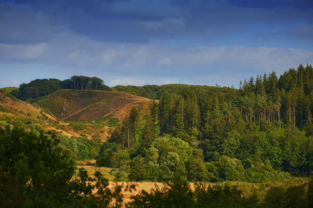 A landscape depicting verdant forested hills, with a mix of open grasslands and dense trees, under a striking cloudy and sunny sky. Captures natural beauty and tranquility in this captivating scene.