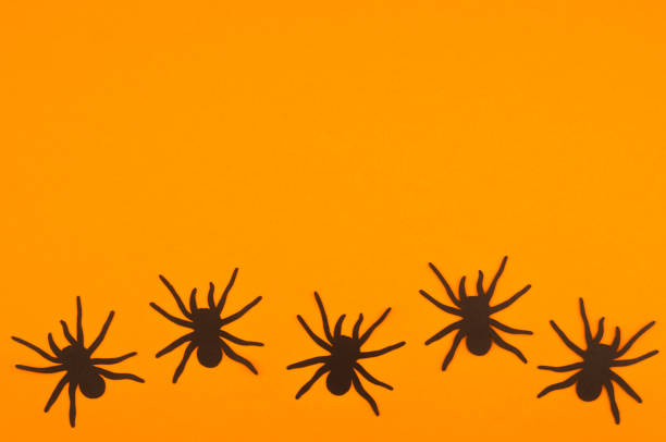 istock Five black spiders on a bright orange background creating a spooky Halloween atmosphere 2197674508