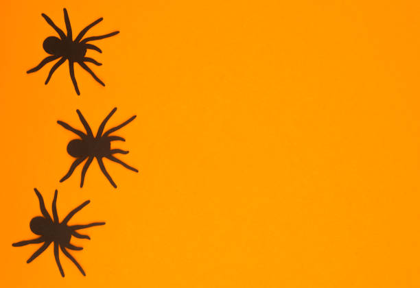 Black spiders crawling on a vibrant orange background for Halloween decorations