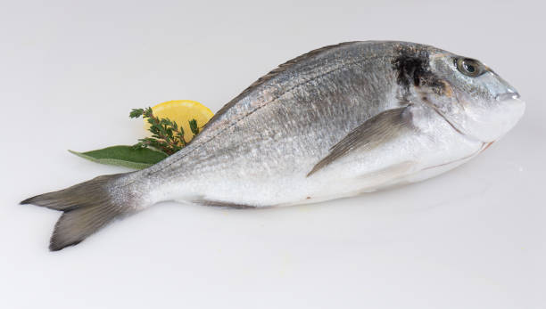 istock fresh sea bass isolated nature background with clipping path 2197674922