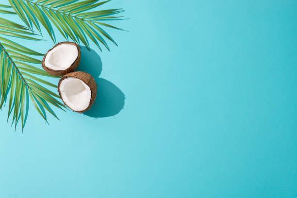 istock Creative layout made of coconuts and leaves on blue background. Flat lay, copy space. Food, summertime travel, natural cosmetics concept. Coconut on blue background. 2197687175