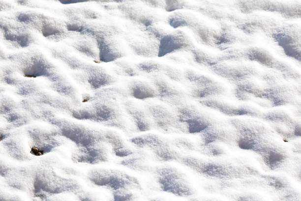 Ground covered in snow, in the morning sunlight, after a heavy storm