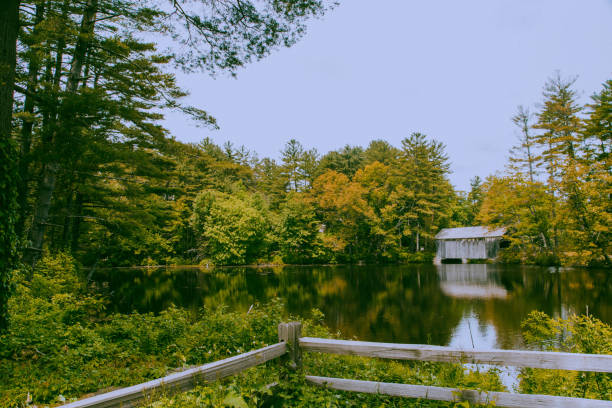 Calm reflection of autumn foliage on tranquil lake waters