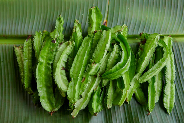 istock Pile of fresh Winged bean on leaf 2197695001