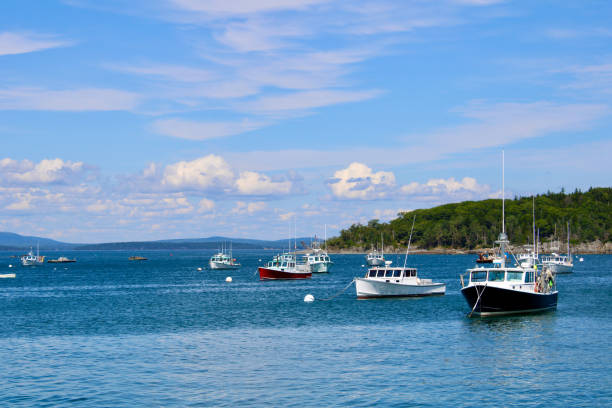 istock Fishing boats anchored on a clear day 2197695196