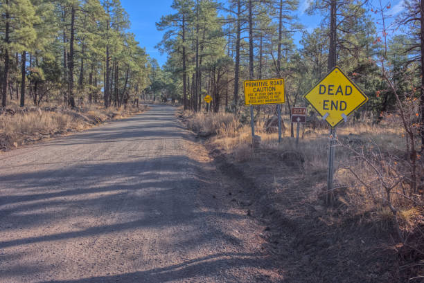 istock Warning signs for Stoneman Lake Road 2197695741