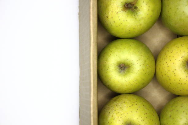 Fresh green apples color the autumn dining table. A versatile fruit that can be eaten as is or used in dishes and sweets. You can fully feel the blessings of autumn.