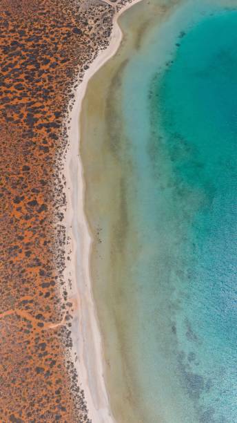 istock Aerial view of a pristine coastline with turquoise waters. 2197702770