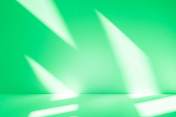 istock Studio style background wall decoration presentation uses white and green tones. with shadows cast from a nearby window, concept creating a decorative 2197703250
