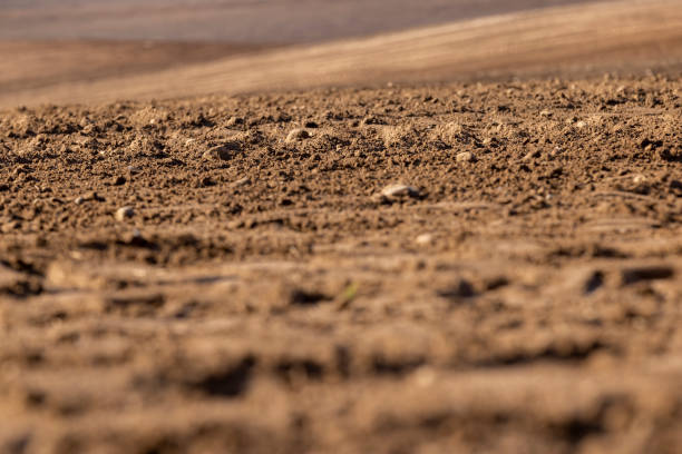 istock fertile soil in spring during the preparation for sowing 2197706495