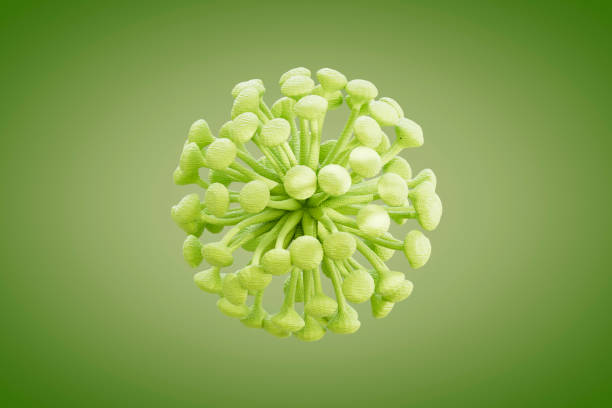 A digitally generated image featuring virus and bacteria floating on a green background, symbolizing infectious diseases, microbiology, and the pandemic concept. This design represents health risks, medical research, and epidemiology, making it ideal for healthcare, science, and public awareness themes.