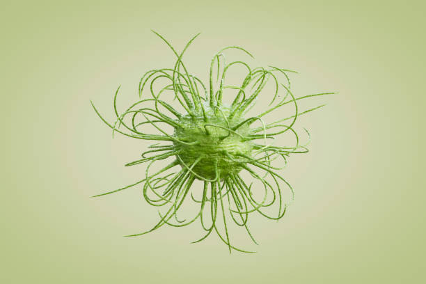 A digitally generated image featuring virus and bacteria floating on a green background, symbolizing infectious diseases, microbiology, and the pandemic concept. This design represents health risks, medical research, and epidemiology, making it ideal for healthcare, science, and public awareness themes.