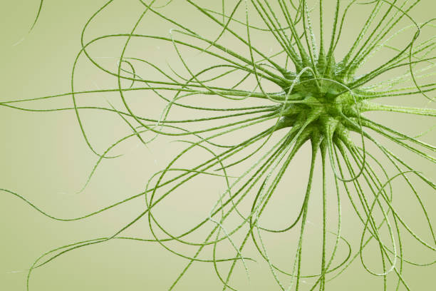 A digitally generated image featuring virus and bacteria floating on a green background, symbolizing infectious diseases, microbiology, and the pandemic concept. This design represents health risks, medical research, and epidemiology, making it ideal for healthcare, science, and public awareness themes.