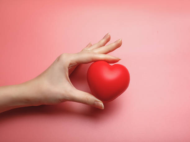 istock female hands hold red symbolic heart isolated on white background 2197707704