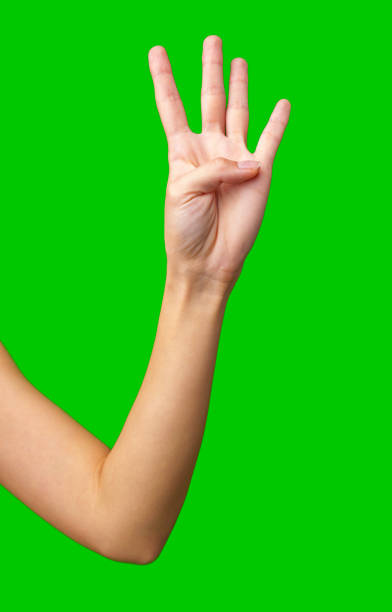istock Hand displaying the number four against a bright green background during a creative design session 2197708402