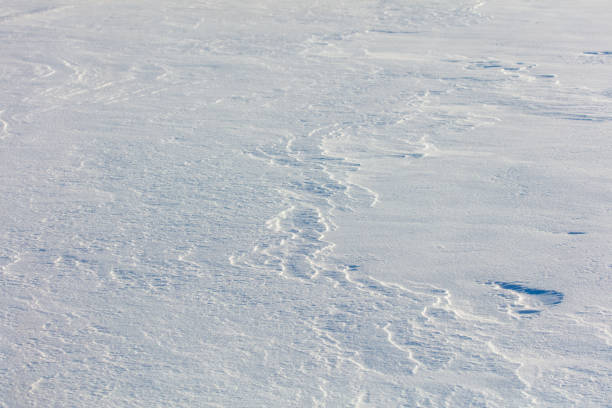 Palanderbukta Bay, Pack ice pattern, Gustav Adolf Land, Nordaustlandet, Svalbard archipelago, Norway