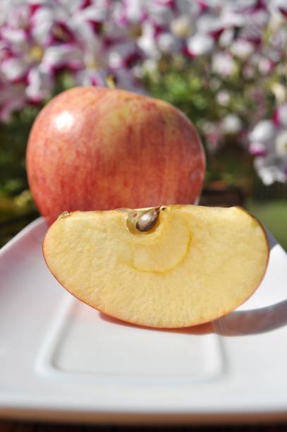 istock Apples on a white tray. Healthy lifestyle. 2197715827