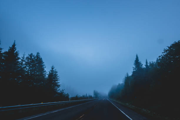 istock Misty road in coniferous dark woods 2197717886