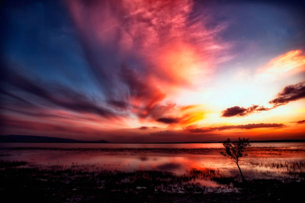 COLORED REFLECTIONSColorful reflections falling on lakes, seas, water. Shapes formed on water by colors such as red, yellow, green, purple, white. Usually in harbors, fishing shelters and forests.