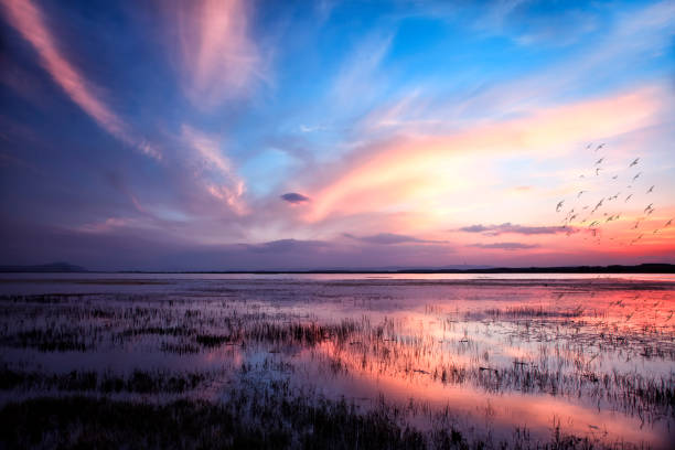istock COLORED REFLECTIONSColorful reflections falling on lakes, seas, water. Shapes formed on water by colors such as red, yellow, green, purple, white. Usually in harbors, fishing shelters and forests. 2197722856