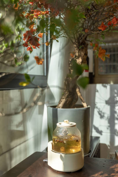 Indoor tea table and blooming bougainvillea