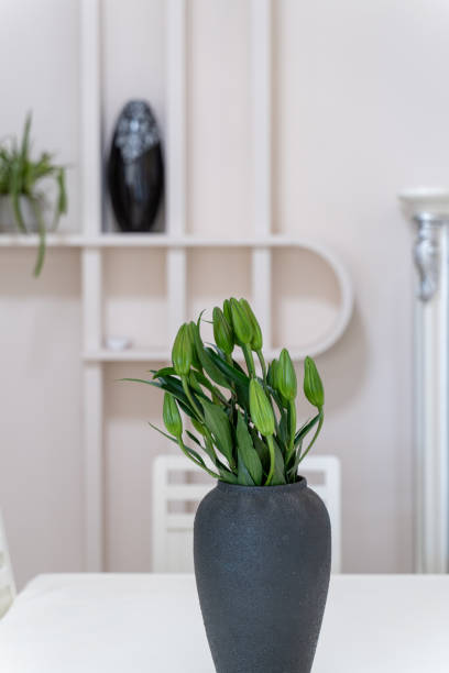 istock Unbloomed green plants in a black ceramic pot on the dining table 2197724595