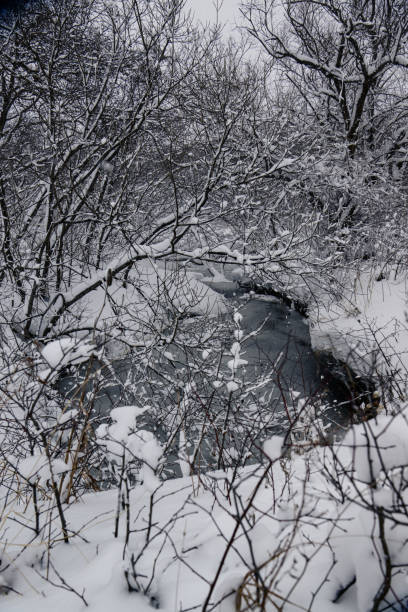 istock Winter landscape with snow covered trees and river 2197725903