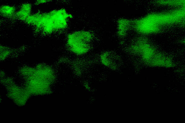 istock bright art background in emerald green and black 2197726644