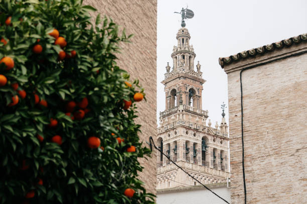Leafy green foliage and bright oranges framing the ornate Mud