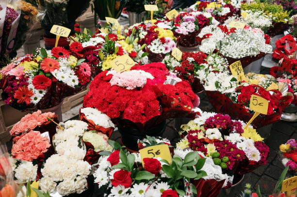 Flowers for sale in a flower shop