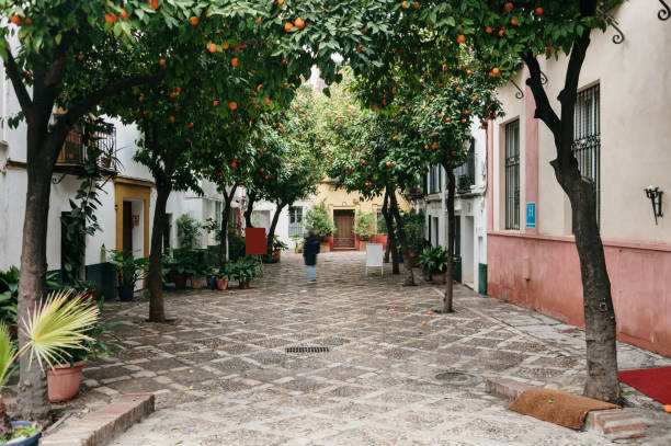 istock Street in Seville, Spain 2197740628
