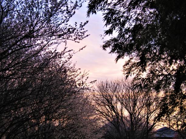 Sunrise.