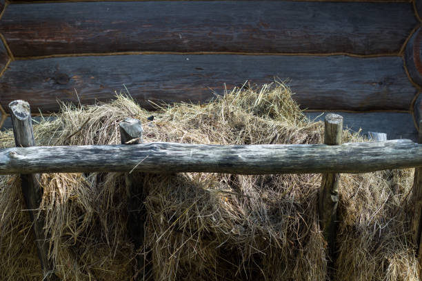 Wooden horse stable doors