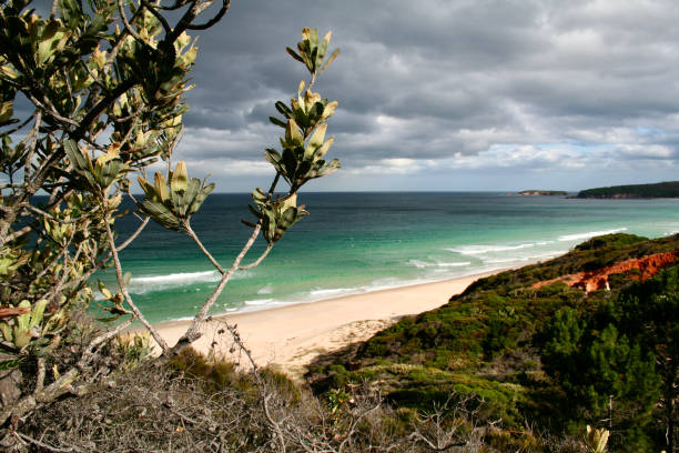 istock A view on the Tasman sea 2197743231
