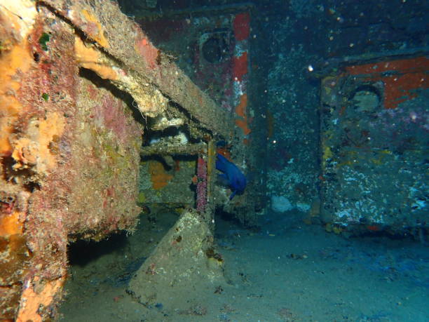 istock Ghosts of the Deep: Fragments of a Sunken Giant shipwrecked warship deep below the waves 2197743638