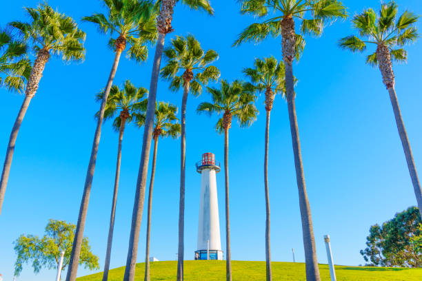 Long Beach, California - January 15, 2025: Tall lighthouse peeking through palm trees on a hill in Long Beach, framed by a clear blue sky.
