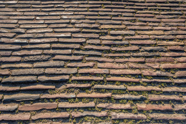 Road surface of an ancient street in the Netherlands.