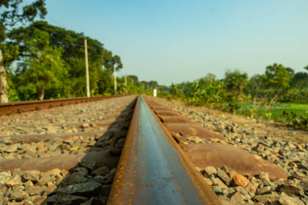 A railway line is a line of transportation made up by rail exclusively for the use of railway vehicles.The railway line surrounded by green plants