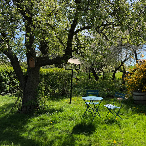 Wooden picnic table sits on a manicured lawn, surrounded by trees and offering a peaceful retreat in a park setting