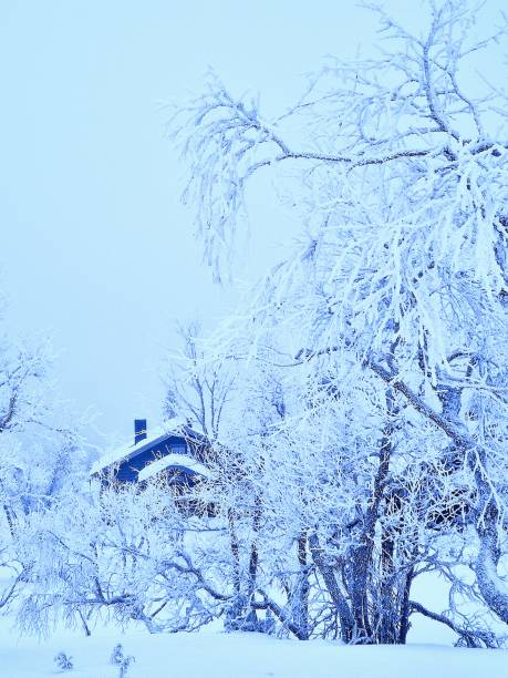 istock Log cabin in frozen forest Lapland. 2197756372