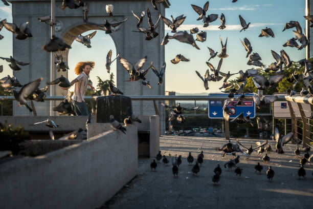 istock Young man running through pigeons in flight 2197761944