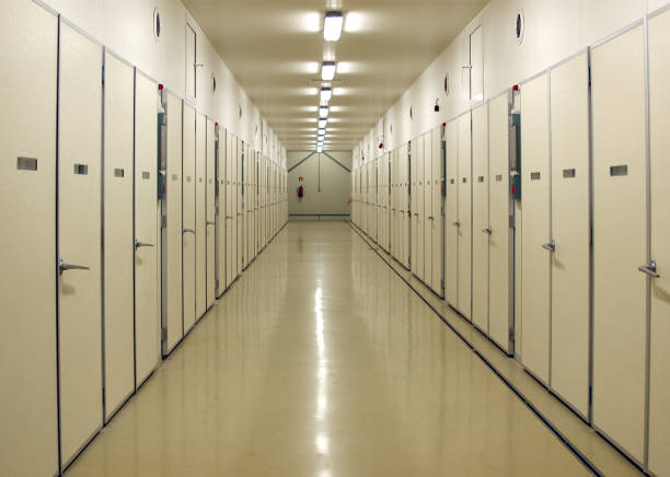 istock At the hatchery.  Chicken breeding. Hallway. 2197763133