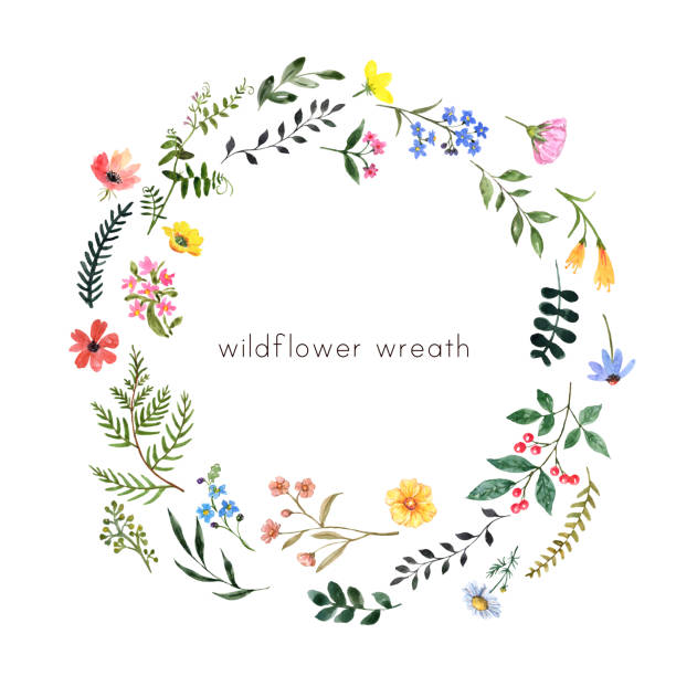 istock Watercolor wildflower frame on white background. Pretty summer meadow flowers border 2197765829