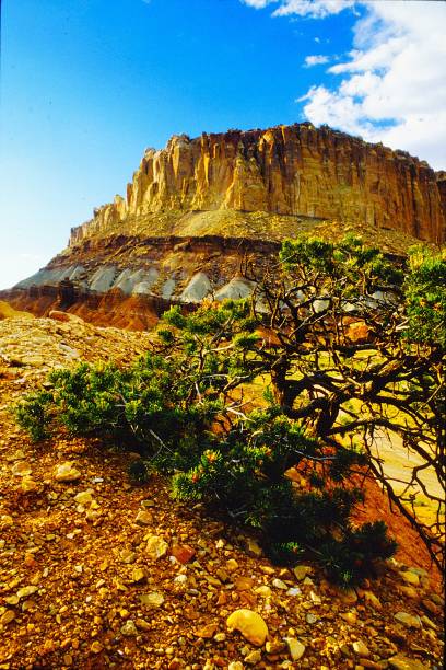 Capital Reef National Park Utah June 1983