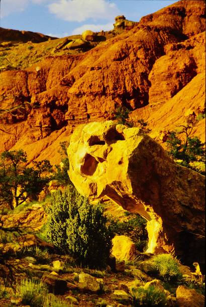 istock Capital Reef National Park Utah June 1983 2197767743