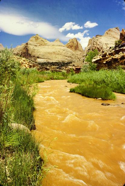 istock Capital Reef National Park Utah June 1983 2197767787