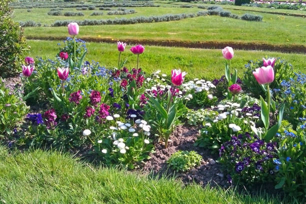 A colorful flower garden surrounded by lush greenery, creating a vibrant and serene natural scene