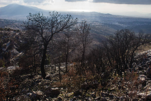 istock Resilience Amidst Ruins: Pentelikon Mountain's Charred Quarry 2197778257