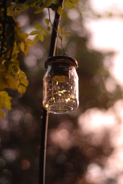 istock Hanging jar lantern with fairy lights at dusk 2197780844