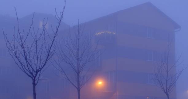 istock A fogcovered building with trees visible in the foreground 2197787908